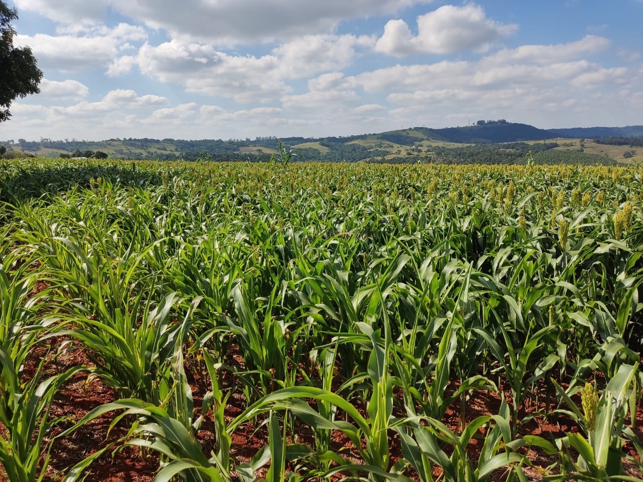 Oportunidade única: Sitio à venda em Itapetininga-SP, Centro! 3 quartos, 3 salas, 3 banheiros, 30 vagas de garagem, 508.200,00 m²!