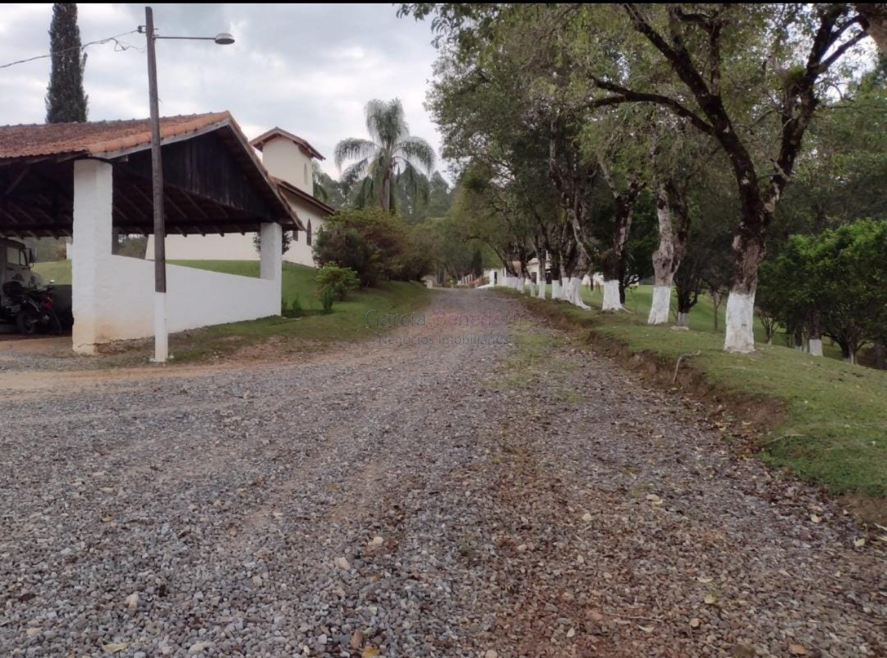 Fazenda de pinus e industria de resina à venda em itapeva-sp