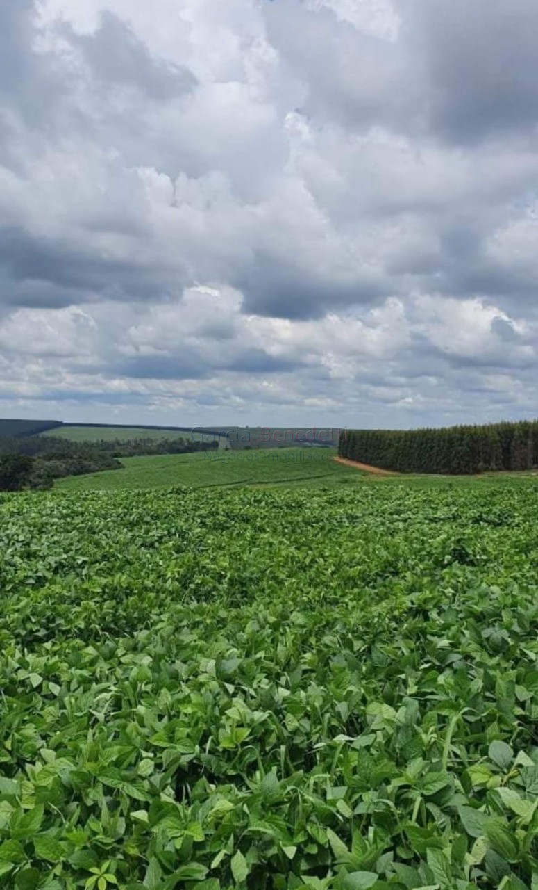 Fazenda de porte com 4 quartos e 30 vagas em bauru-sp - lote