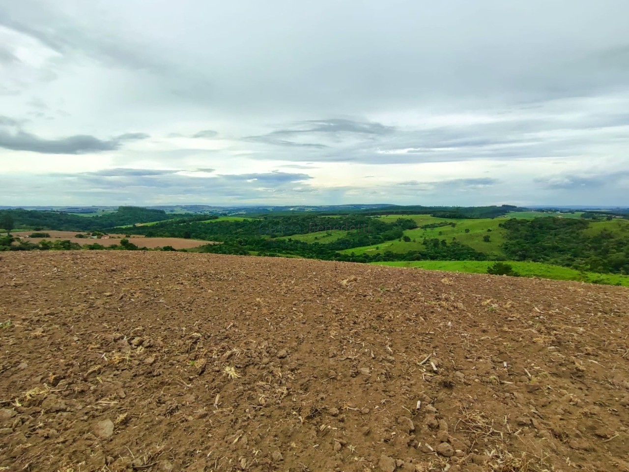 Fazenda na Regiãode Itapetininga-SP: 6 quartos, 4 salas, 4 banheiros, 40 vagas de garagem, 1.167.650,00 m² de área.
