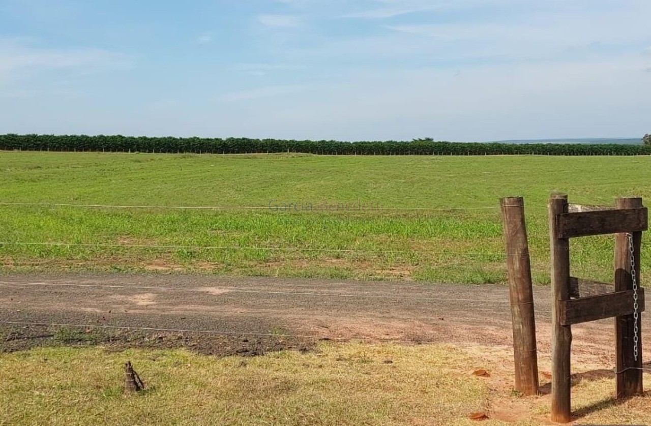 Fazenda de porte com 4 quartos e 30 vagas em bauru-sp - lote