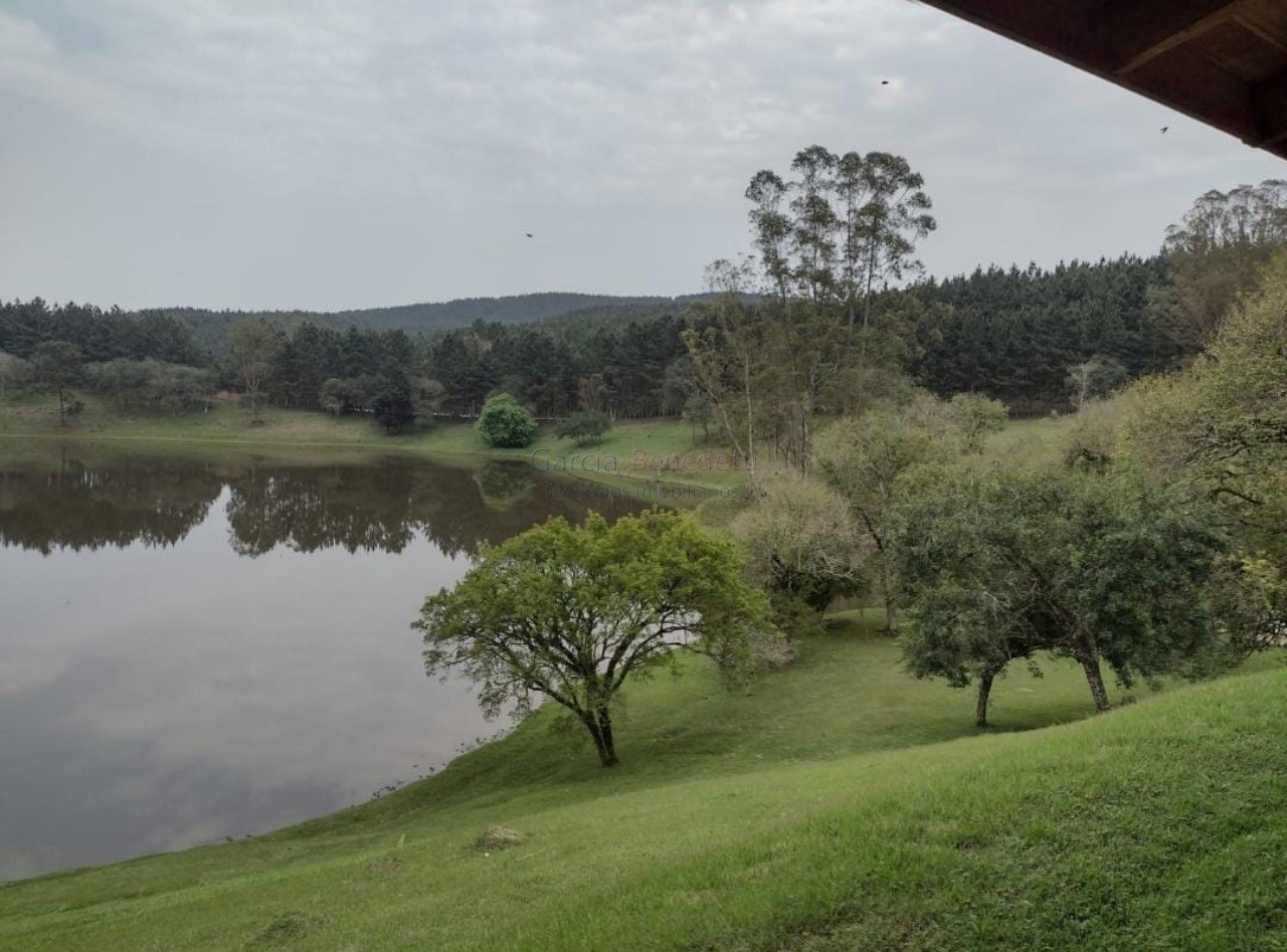 Fazenda de Pinus e Industria de Resina à venda em Itapeva-SP, bairro Jardim Europa: 12 quartos, 5 salas, 6 banheiros, 60 vagas de garagem, 24.200m²!