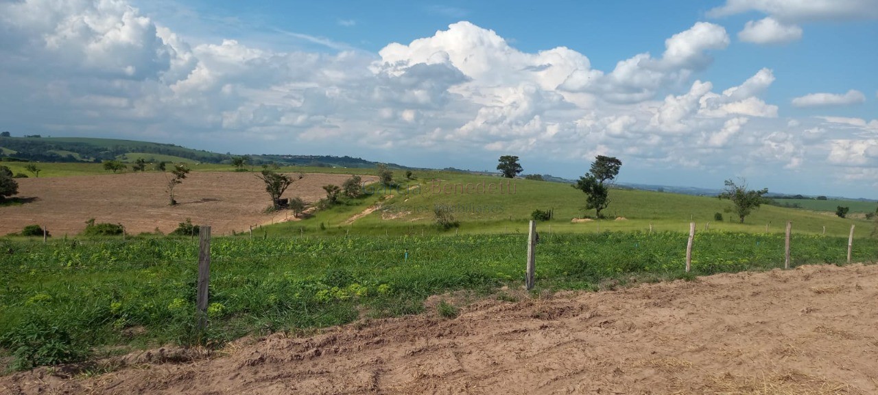 Sítio à venda em Tatuí - SP: 25 Alqueires - 605.000 m² de Somente Terra.