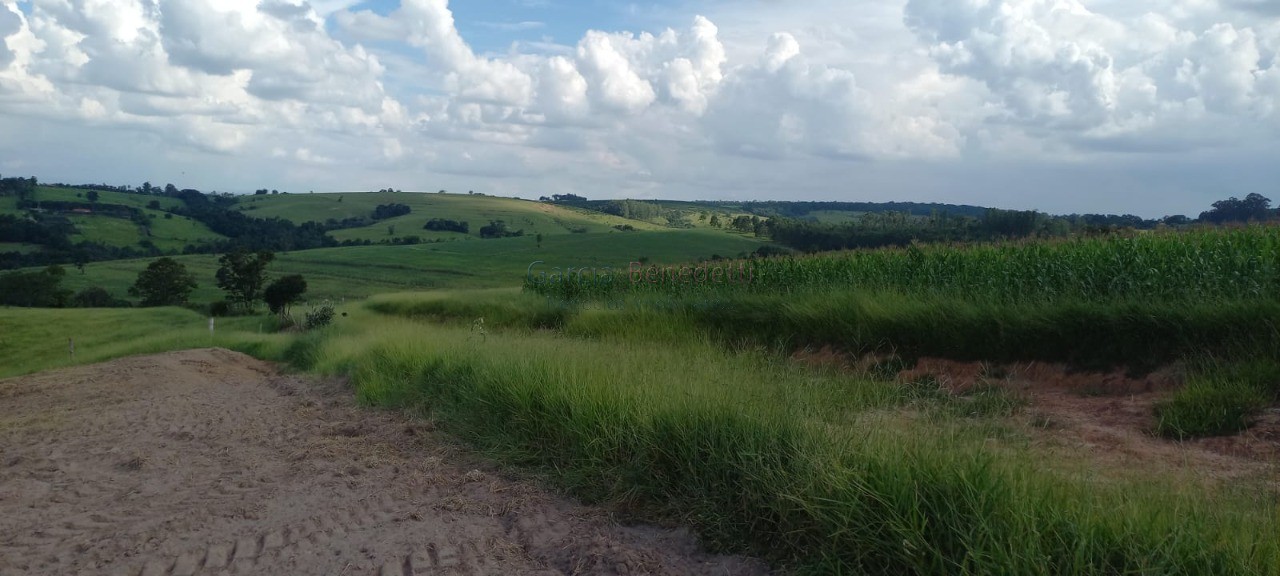 Sítio à venda em Tatuí - SP: 25 Alqueires - 605.000 m² de Somente Terra.