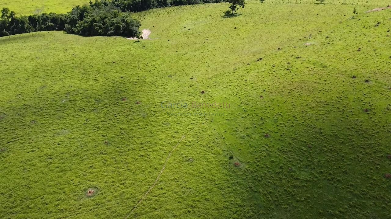 Sítio à venda no centro de itapetininga-sp com 387.200m² de 