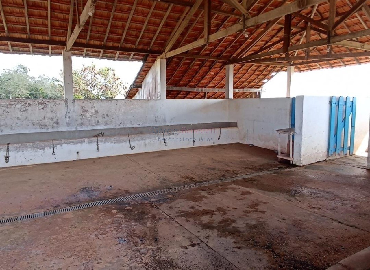 Impressionante sítio à venda em Itapetininga-SP, Centro: 3 quartos, 1 suíte, 2 salas, 2 banheiros, 20 vagas, 634.478m²!