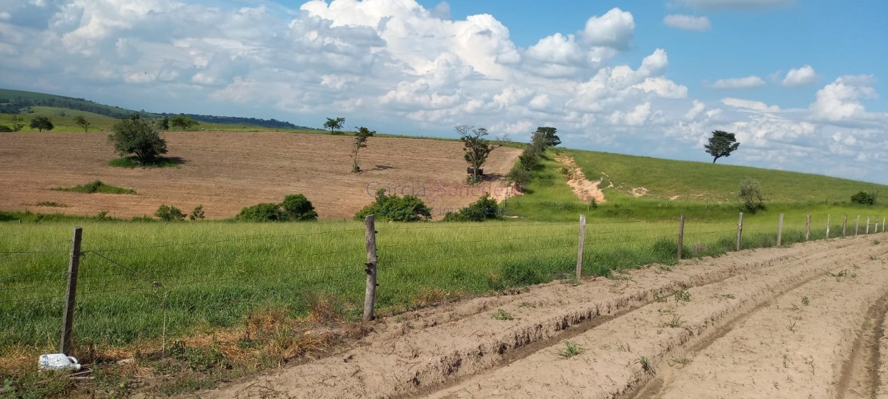 Sítio à venda em Tatuí - SP: 25 Alqueires - 605.000 m² de Somente Terra.