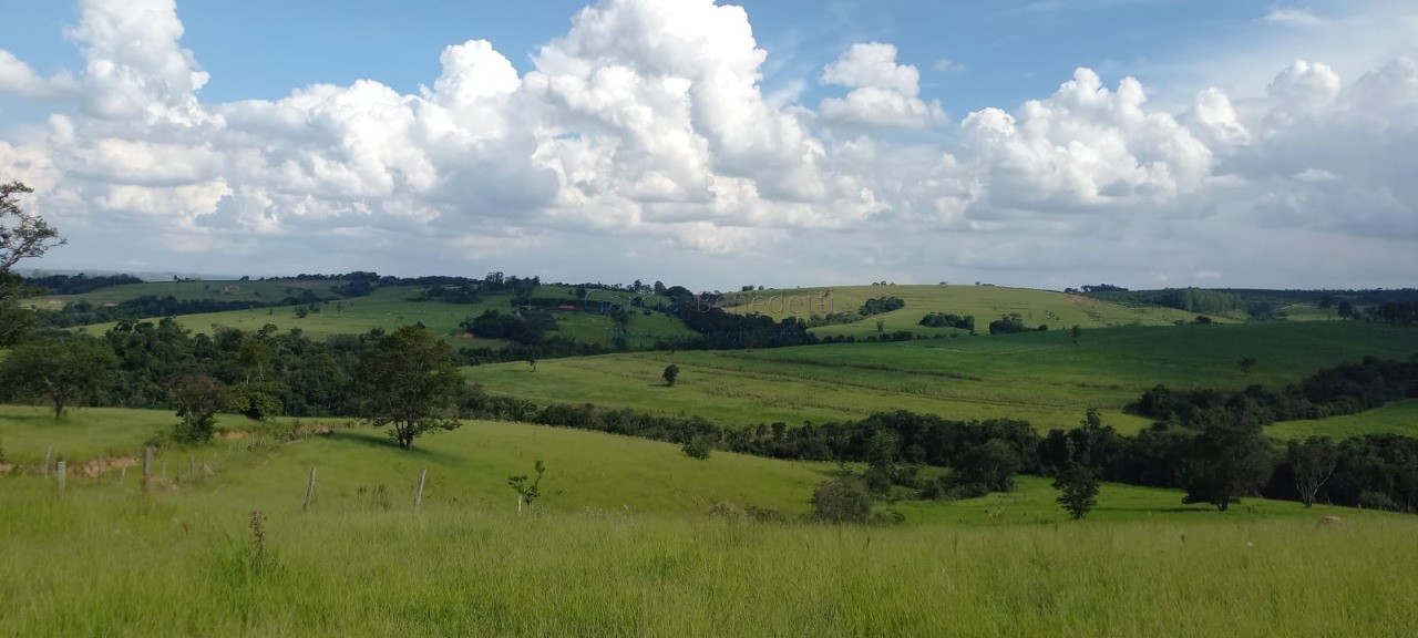 Sítio à venda em Tatuí - SP: 25 Alqueires - 605.000 m² de Somente Terra.