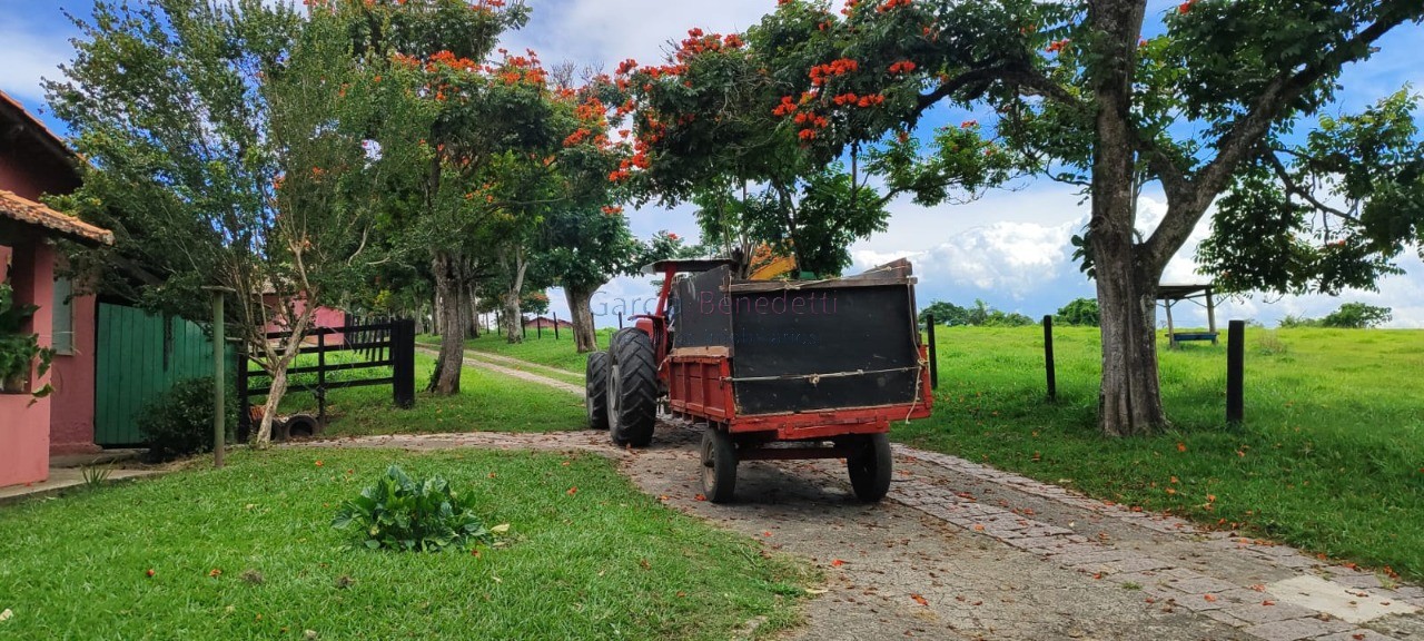 Fazenda de luxo 7 quartos, 7 suítes, 4 salas, 10 banheiros v - foto 5
