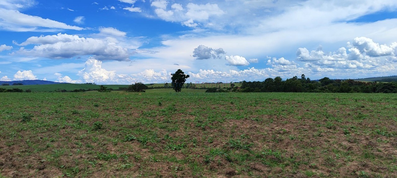 Fazenda de luxo 7 quartos, 7 suítes, 4 salas, 10 banheiros v - foto 15