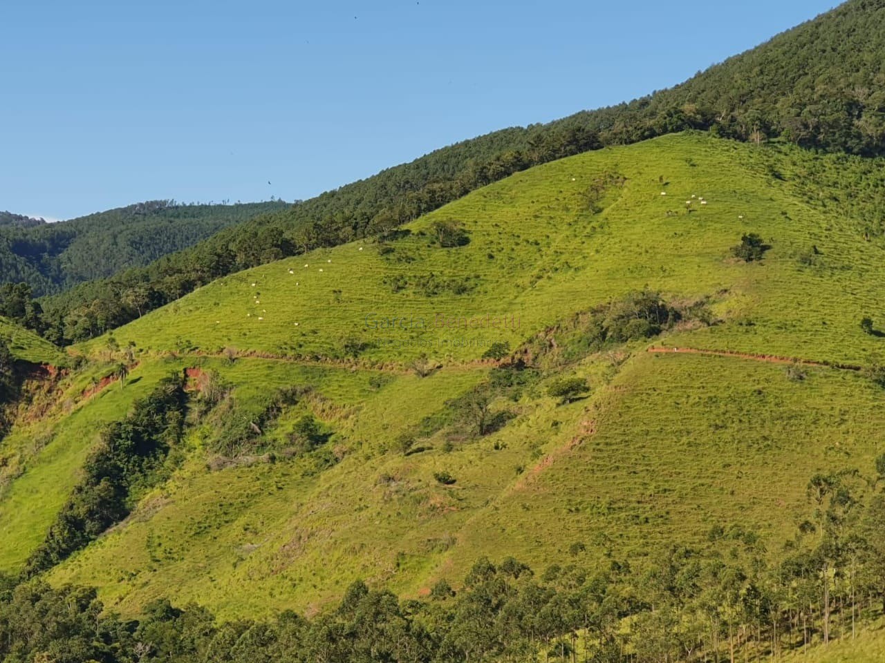 Fazenda à venda em Adrianópolis-PR: 5 quartos, 1 suíte, 2 salas, 4 banheiros, 70 vagas de garagem, 10.188.200,00 m².