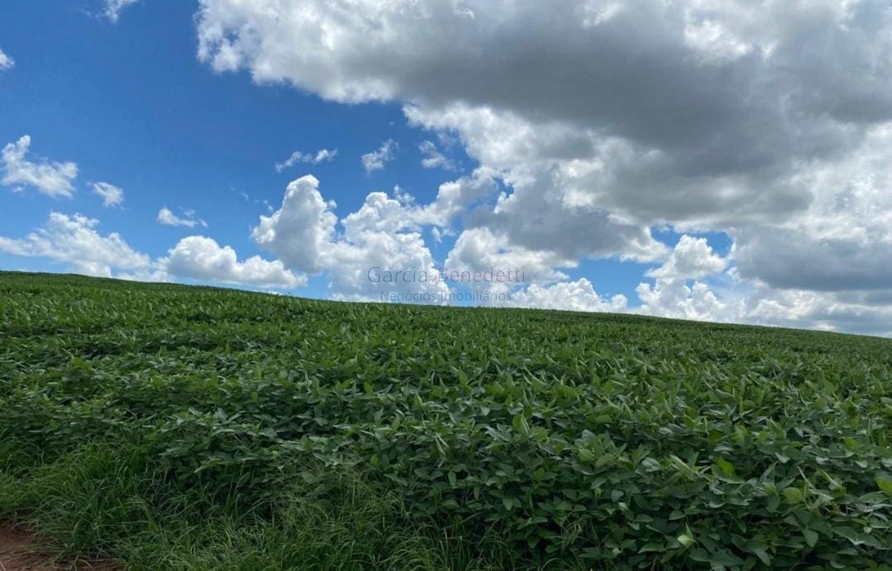 Fazenda de luxo no centro de avaré-sp 5 quartos, 4 salas, 5 