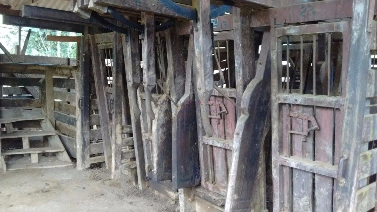 Fazenda à venda em adrianópolis-pr: 5 quartos, 1 suíte, 2 sa