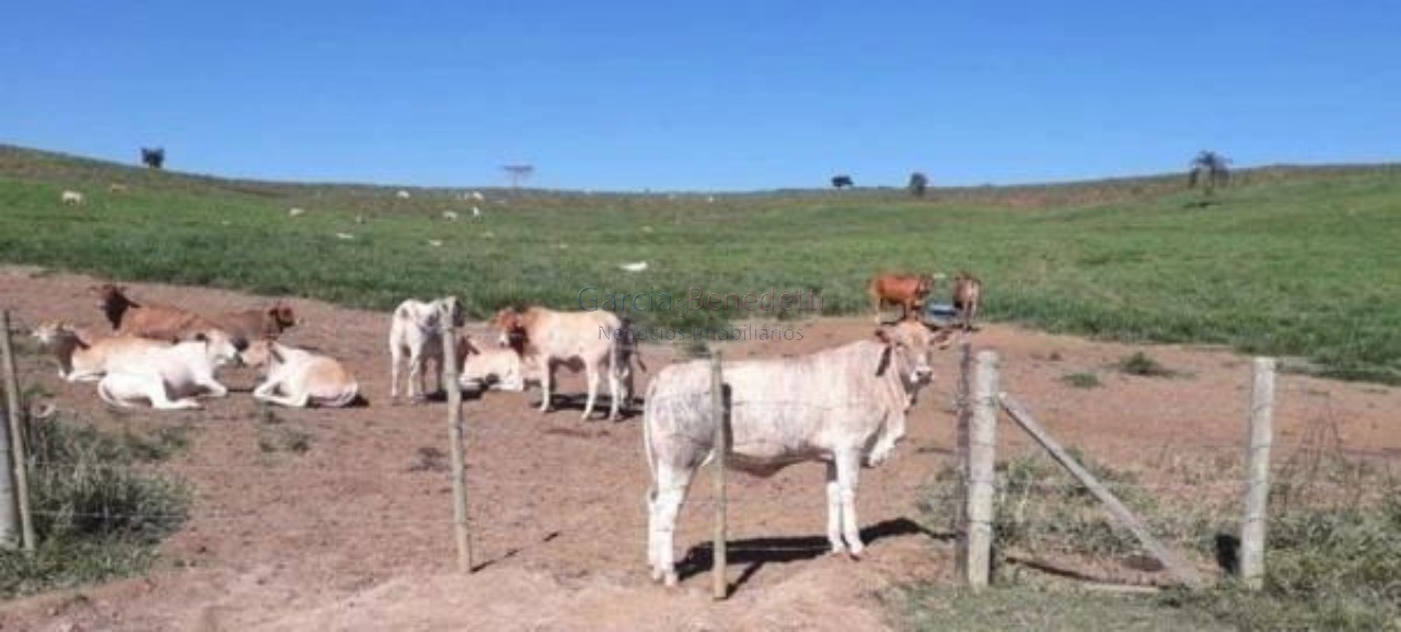 Fazenda à venda em são josé dos campos-sp, jardim bela vista