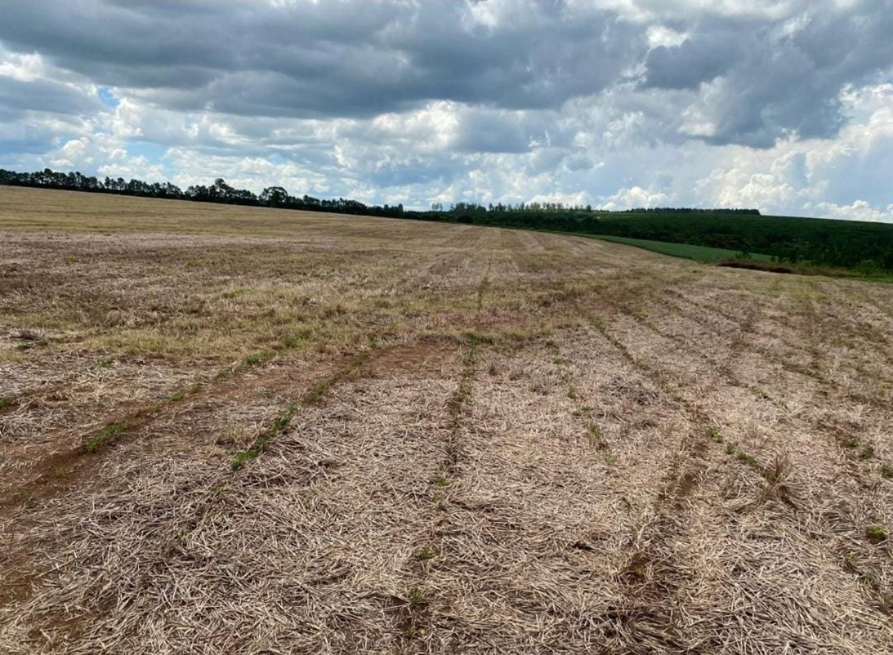 Fazenda de Luxo no Centro de Avaré-SP 5 Quartos, 4 Salas, 5 Banheiros 80 Vagas de Garagem 5.808.000 m² de Área