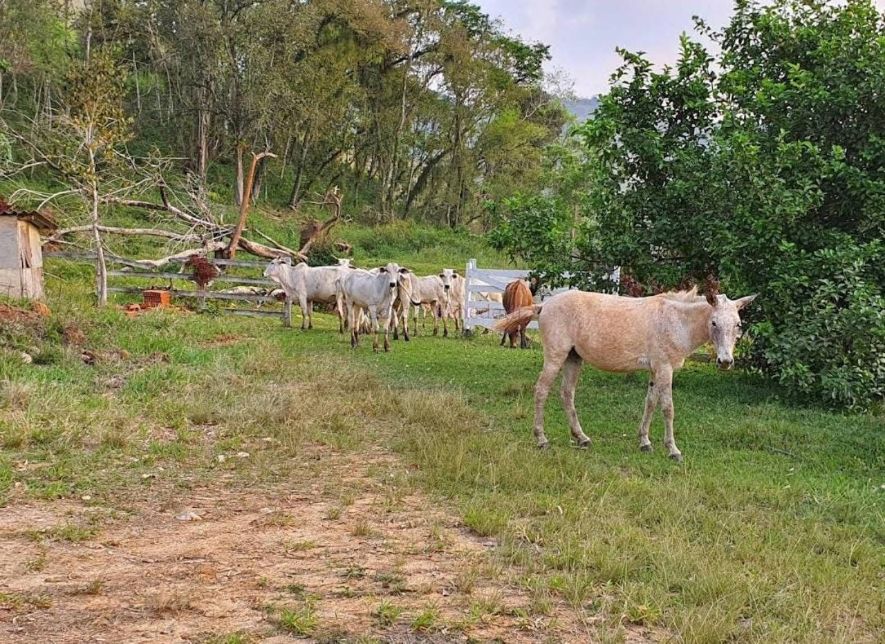 Fazenda à venda em adrianópolis-pr: 5 quartos, 1 suíte, 2 sa
