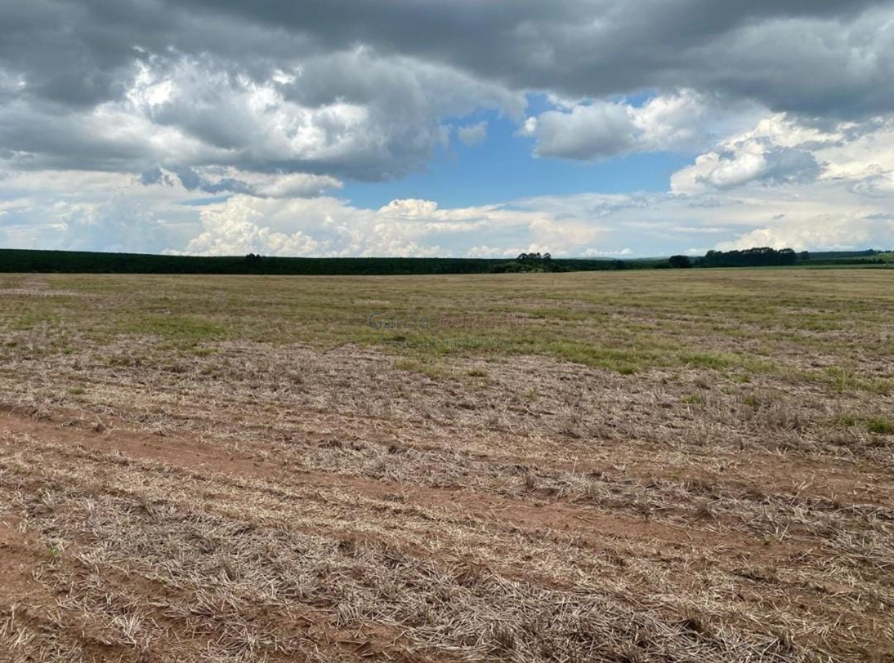 Fazenda de luxo no centro de avaré-sp 5 quartos, 4 salas, 5 