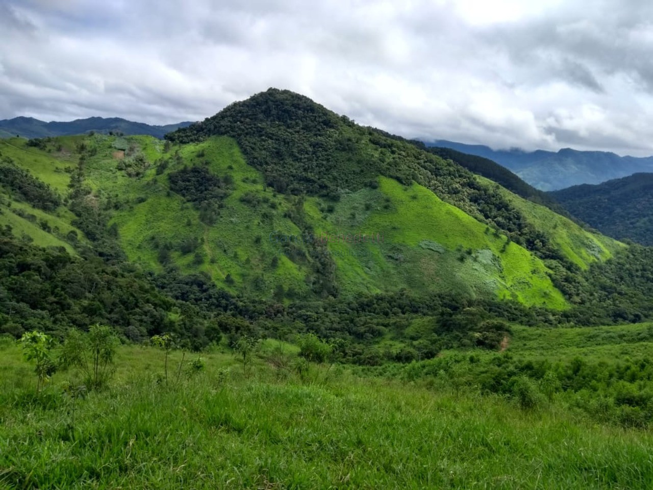 Fazenda à venda em adrianópolis-pr: 5 quartos, 1 suíte, 2 sa