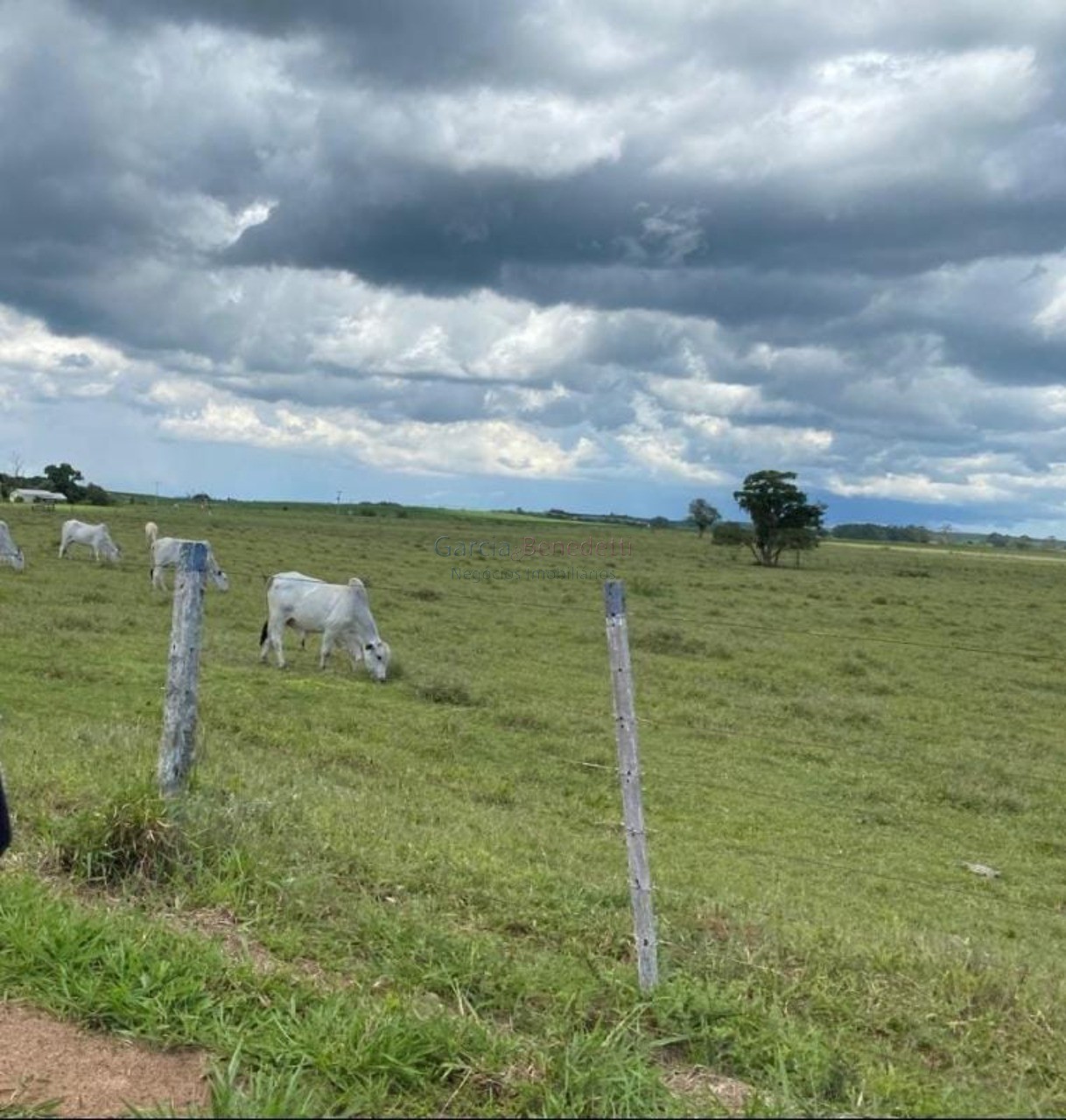 Fazenda de Luxo no Centro de Avaré-SP 5 Quartos, 4 Salas, 5 Banheiros 80 Vagas de Garagem 5.808.000 m² de Área