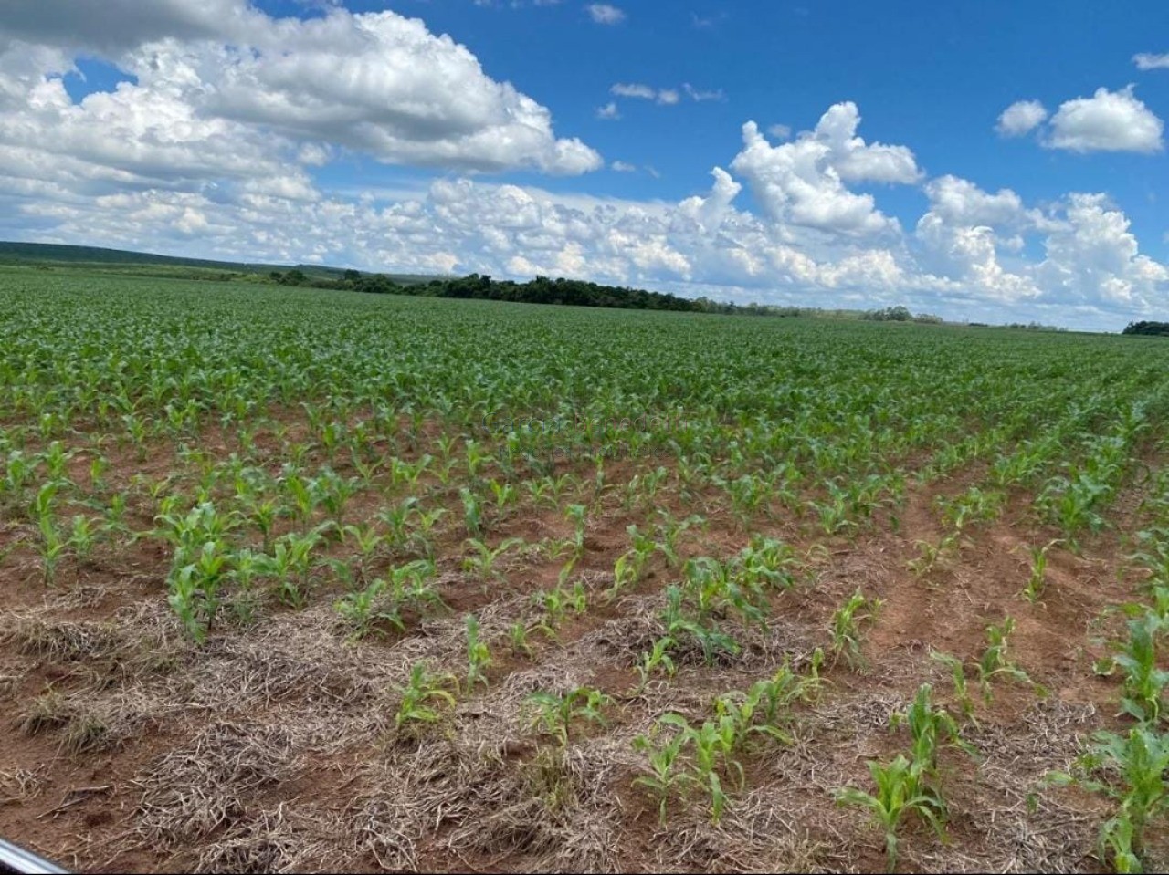 Fazenda de luxo no centro de avaré-sp 5 quartos, 4 salas, 5 