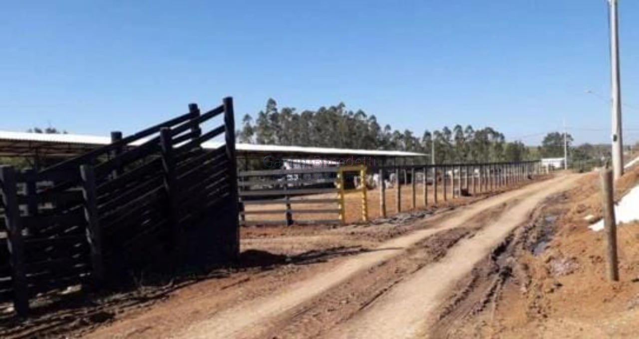 Fazenda à venda em São José dos Campos-SP, Jardim Bela Vista: 2 quartos, 2 salas, 2 banheiros, 60 vagas de garagem!