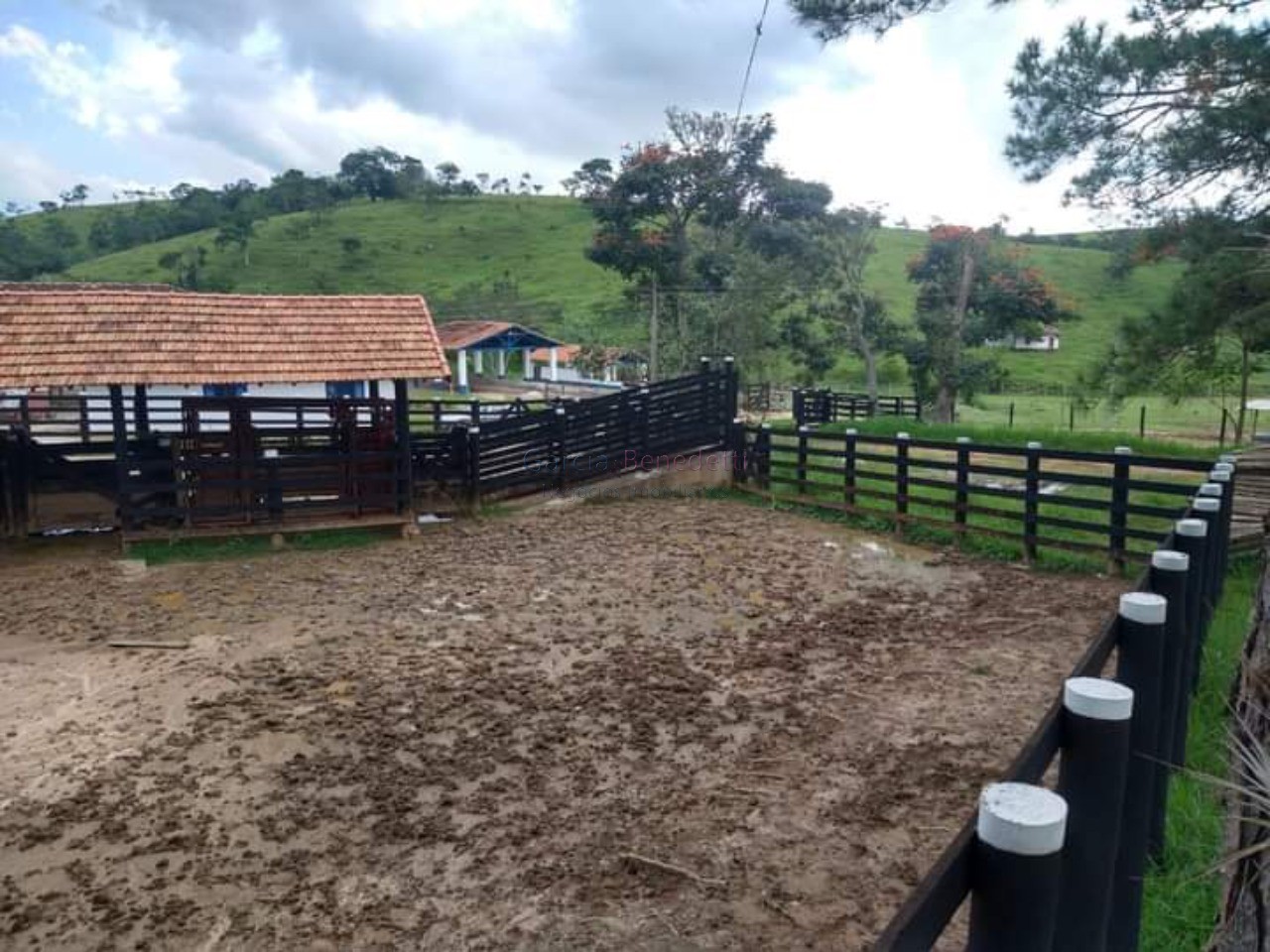 Fazenda exclusiva à venda em caçapava-sp na vila pantaleão: 