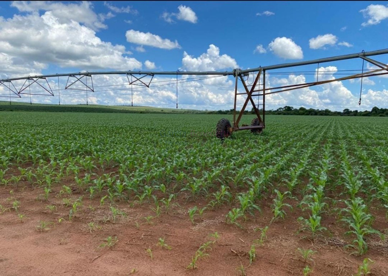 Fazenda de luxo no centro de avaré-sp 5 quartos, 4 salas, 5 