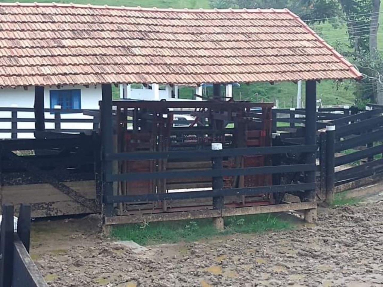 Fazenda exclusiva à venda em caçapava-sp na vila pantaleão: 
