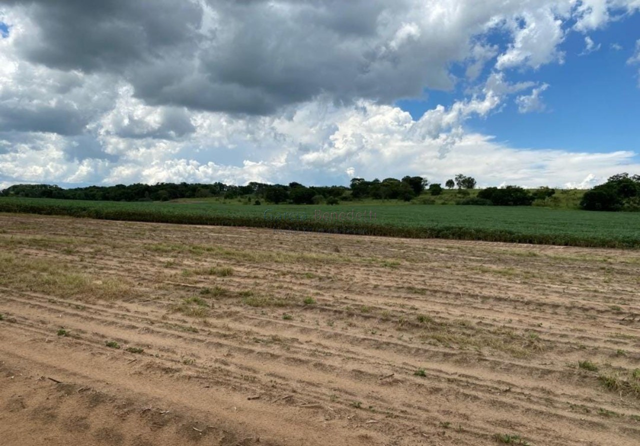 Fazenda de Luxo no Centro de Avaré-SP 5 Quartos, 4 Salas, 5 Banheiros 80 Vagas de Garagem 5.808.000 m² de Área