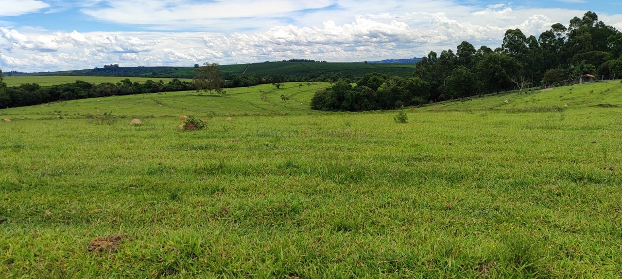 Fazenda de luxo 7 quartos, 7 suítes, 4 salas, 10 banheiros v - foto 13