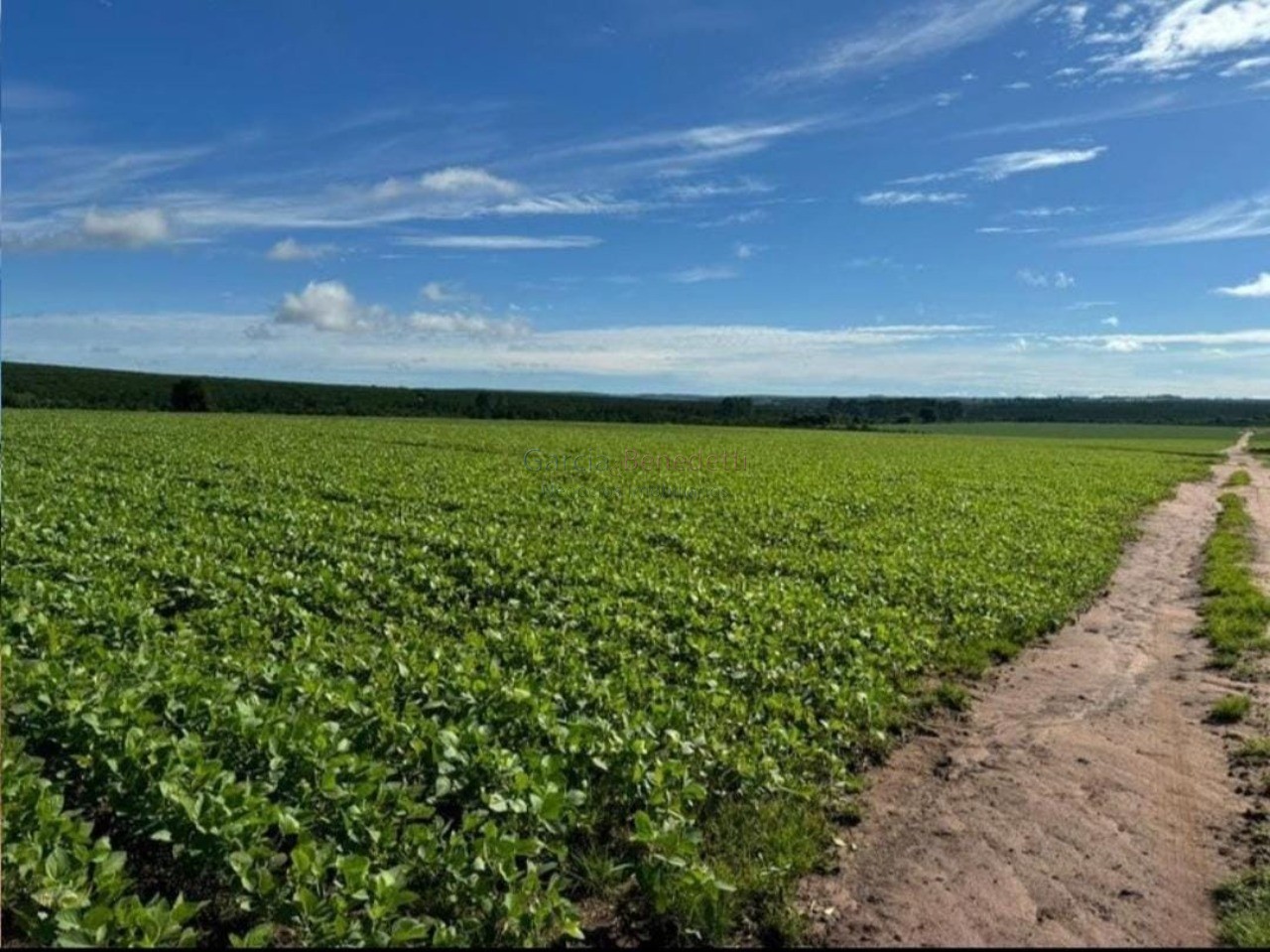 Fazenda de luxo no centro de avaré-sp 5 quartos, 4 salas, 5 