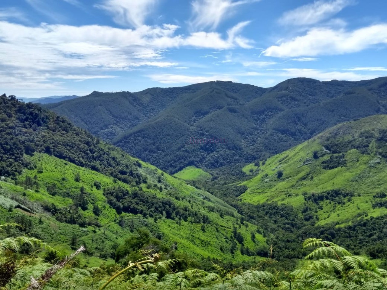 Fazenda à venda em adrianópolis-pr: 5 quartos, 1 suíte, 2 sa