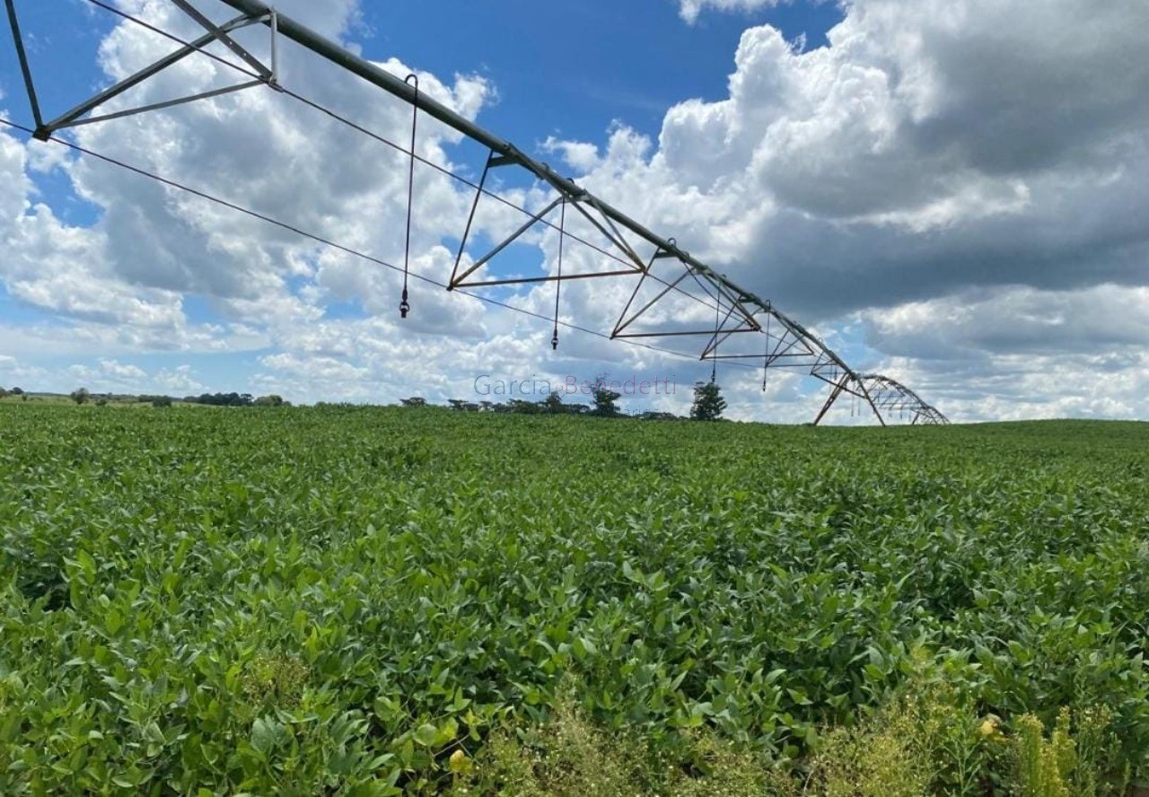 Fazenda de luxo no centro de avaré-sp 5 quartos, 4 salas, 5 