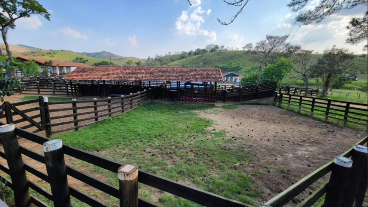 Fazenda exclusiva à venda em caçapava-sp na vila pantaleão: 
