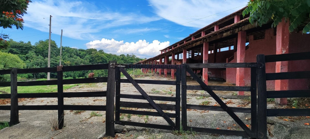 Fazenda de luxo 7 quartos, 7 suítes, 4 salas, 10 banheiros v - foto 7