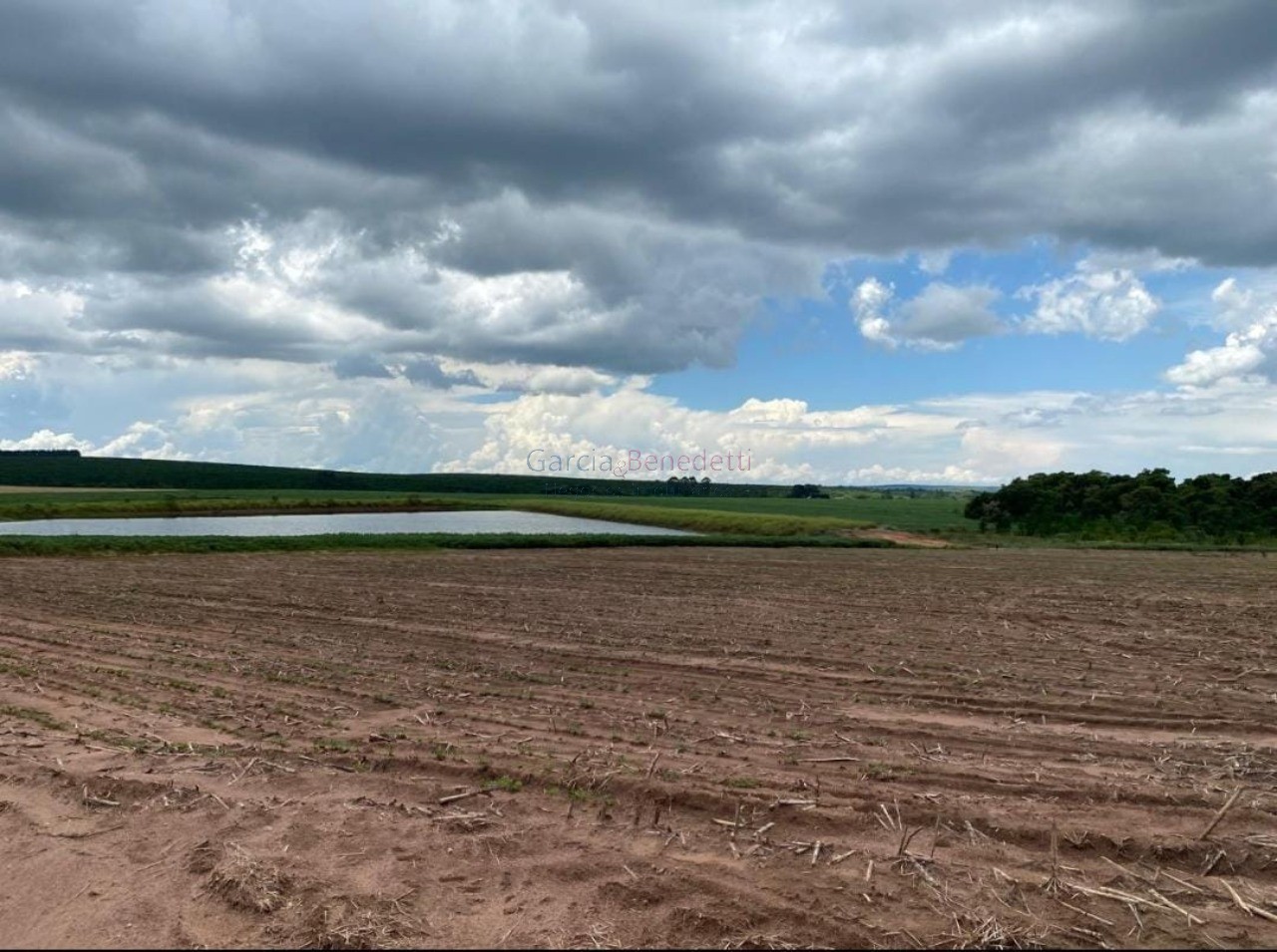 Fazenda de Luxo no Centro de Avaré-SP 5 Quartos, 4 Salas, 5 Banheiros 80 Vagas de Garagem 5.808.000 m² de Área
