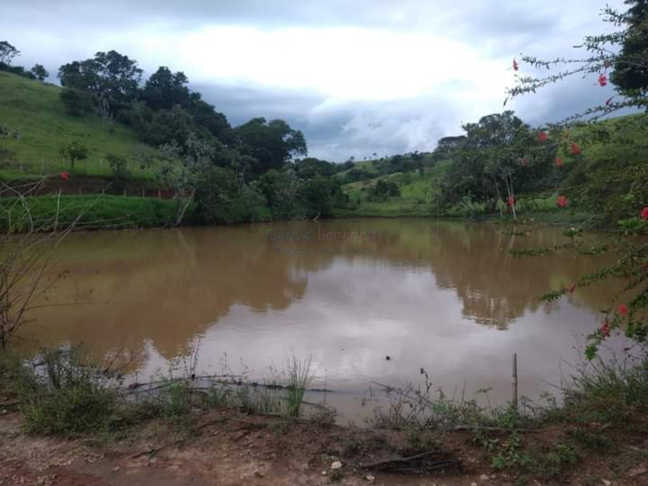 Fazenda exclusiva à venda em caçapava-sp na vila pantaleão: 