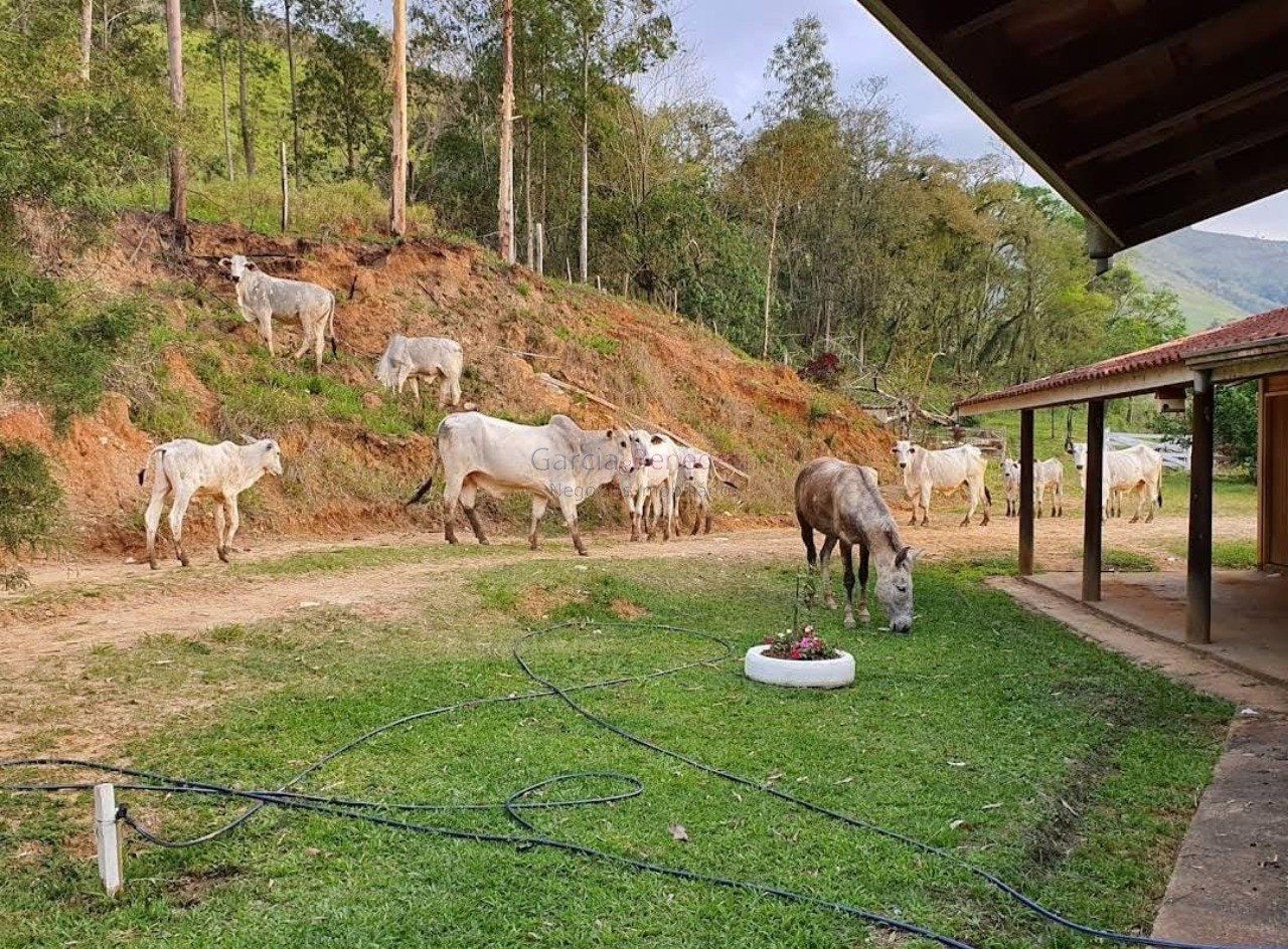 Fazenda à venda em adrianópolis-pr: 5 quartos, 1 suíte, 2 sa