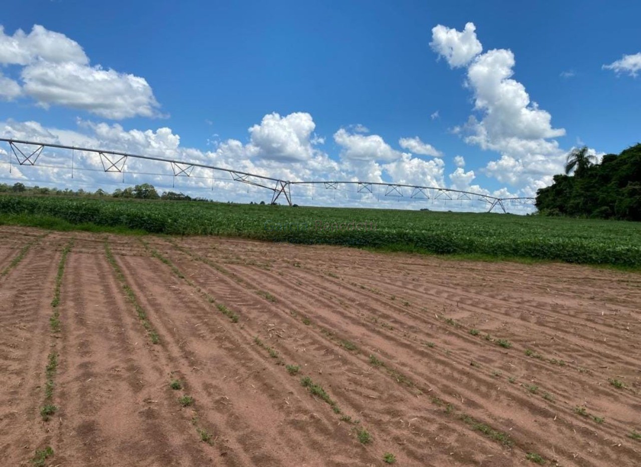 Fazenda de Luxo no Centro de Avaré-SP 5 Quartos, 4 Salas, 5 Banheiros 80 Vagas de Garagem 5.808.000 m² de Área