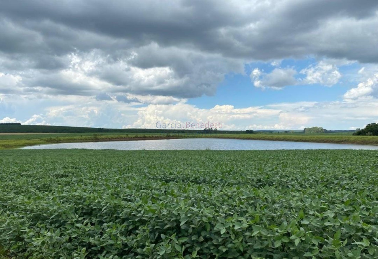 Fazenda de luxo no centro de avaré-sp 5 quartos, 4 salas, 5 