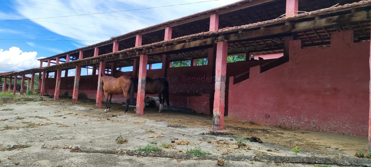 Fazenda de luxo 7 quartos, 7 suítes, 4 salas, 10 banheiros v - foto 8
