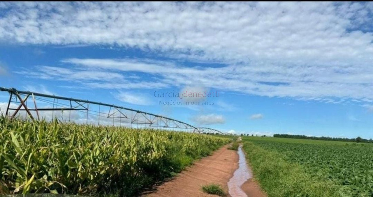 Fazenda de luxo no centro de avaré-sp 5 quartos, 4 salas, 5 