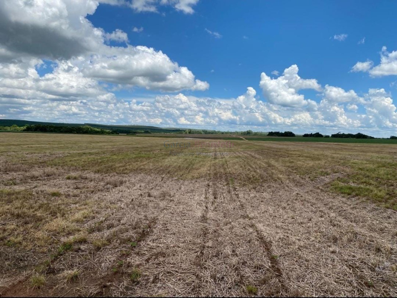 Fazenda de luxo no centro de avaré-sp 5 quartos, 4 salas, 5 