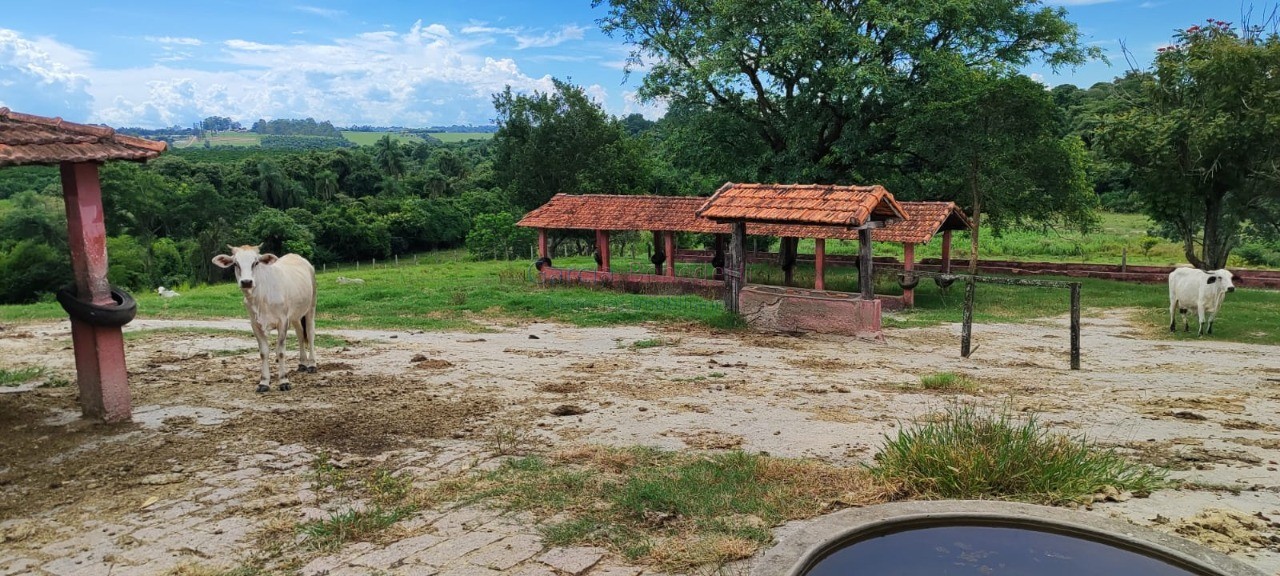 Fazenda de luxo 7 quartos, 7 suítes, 4 salas, 10 banheiros v - foto 10