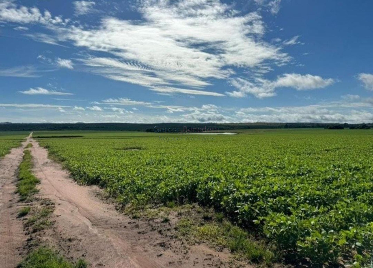 Fazenda de luxo no centro de avaré-sp 5 quartos, 4 salas, 5 