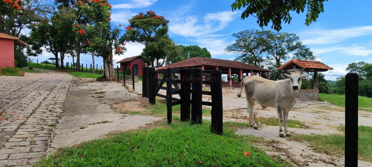 Fazenda de luxo 7 quartos, 7 suítes, 4 salas, 10 banheiros v - foto 9