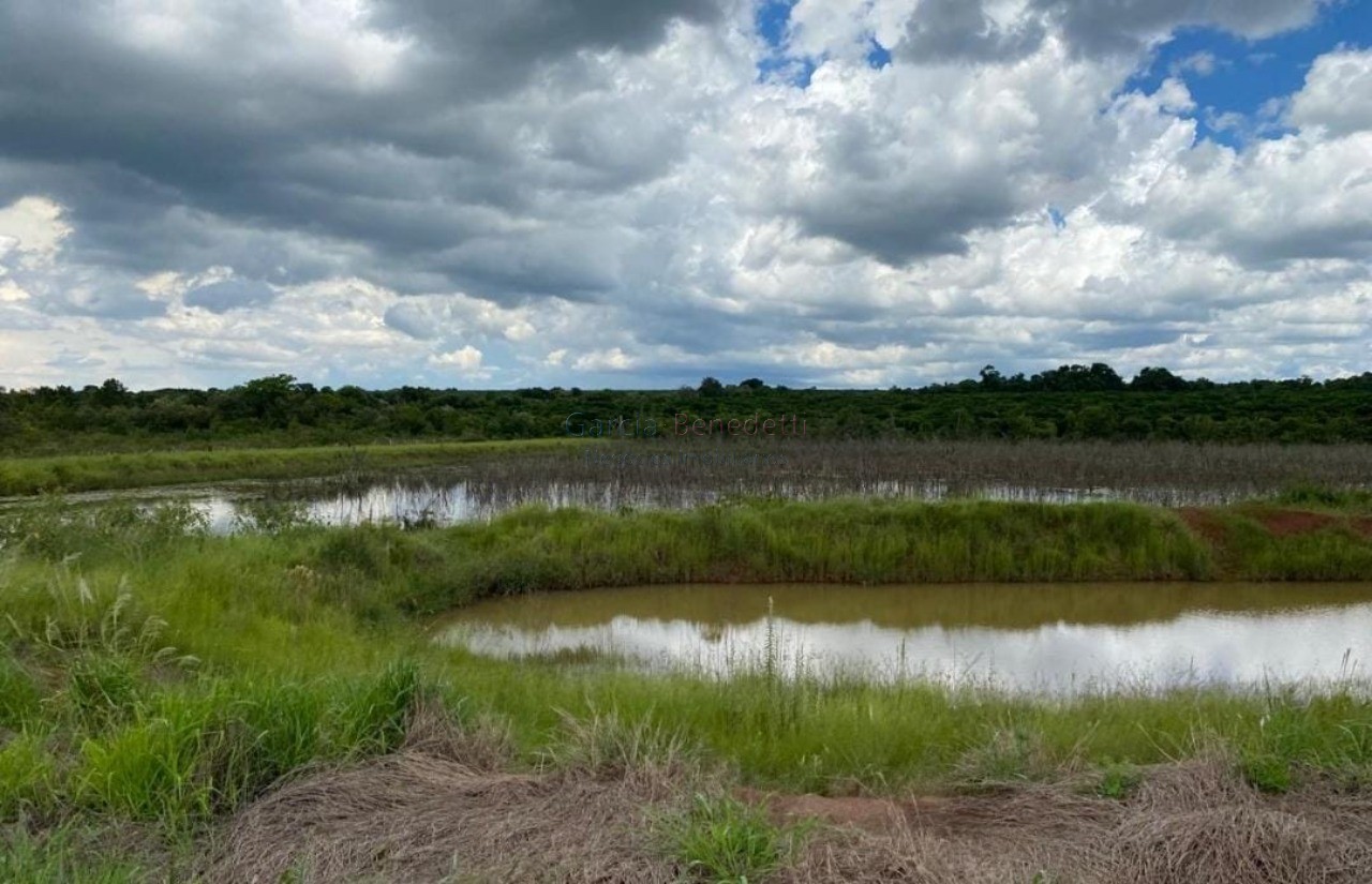 Fazenda de Luxo no Centro de Avaré-SP 5 Quartos, 4 Salas, 5 Banheiros 80 Vagas de Garagem 5.808.000 m² de Área