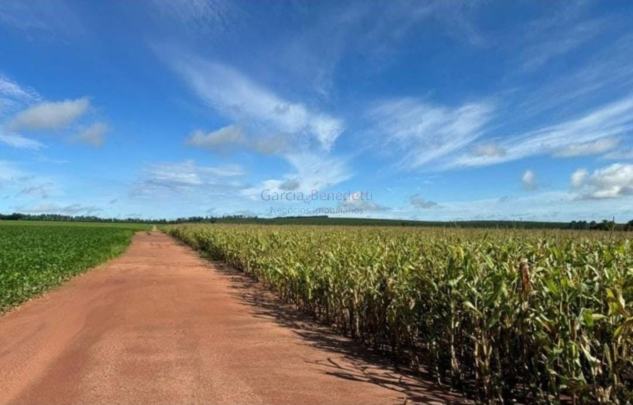 Fazenda de luxo no centro de avaré-sp 5 quartos, 4 salas, 5 