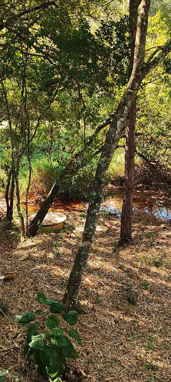 Chácara na região de Itapetininga-SP: 14 quartos, 9 salas, 9 banheiros e 2.000m² de área. Venha conferir!