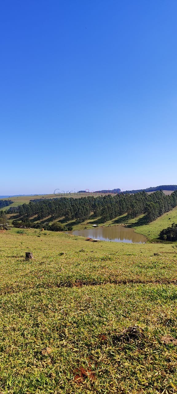 Fazenda de Luxo no Centro de Botucatu-SP: 4 quartos, 3 salas, 3 banheiros, 40 vagas de garagem, 2.890.000,00 m² de área